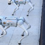 Des chiens robots pour assurer la sécurité autour des stades