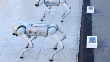 Coupe du monde 2026 : des chiens robots pour assurer la sécurité autour des stades
